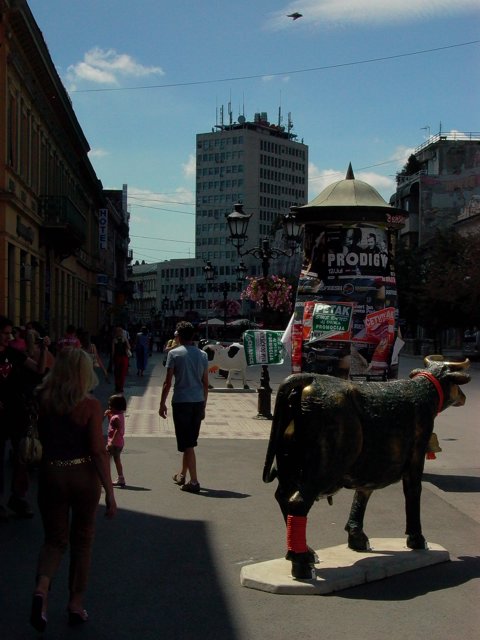 L1020329.JPG